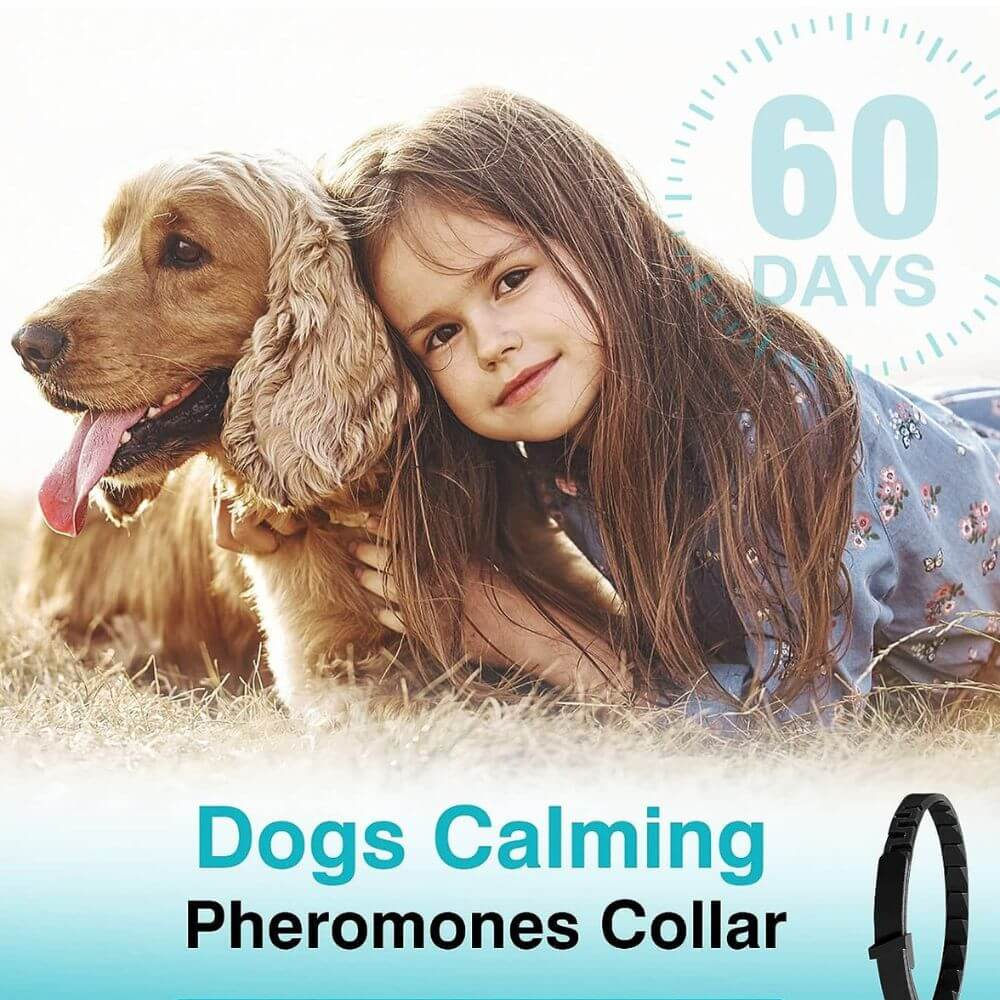 A picture of a pheromone-based calming collar with a label that reads "dogs calming pheromonescollar"