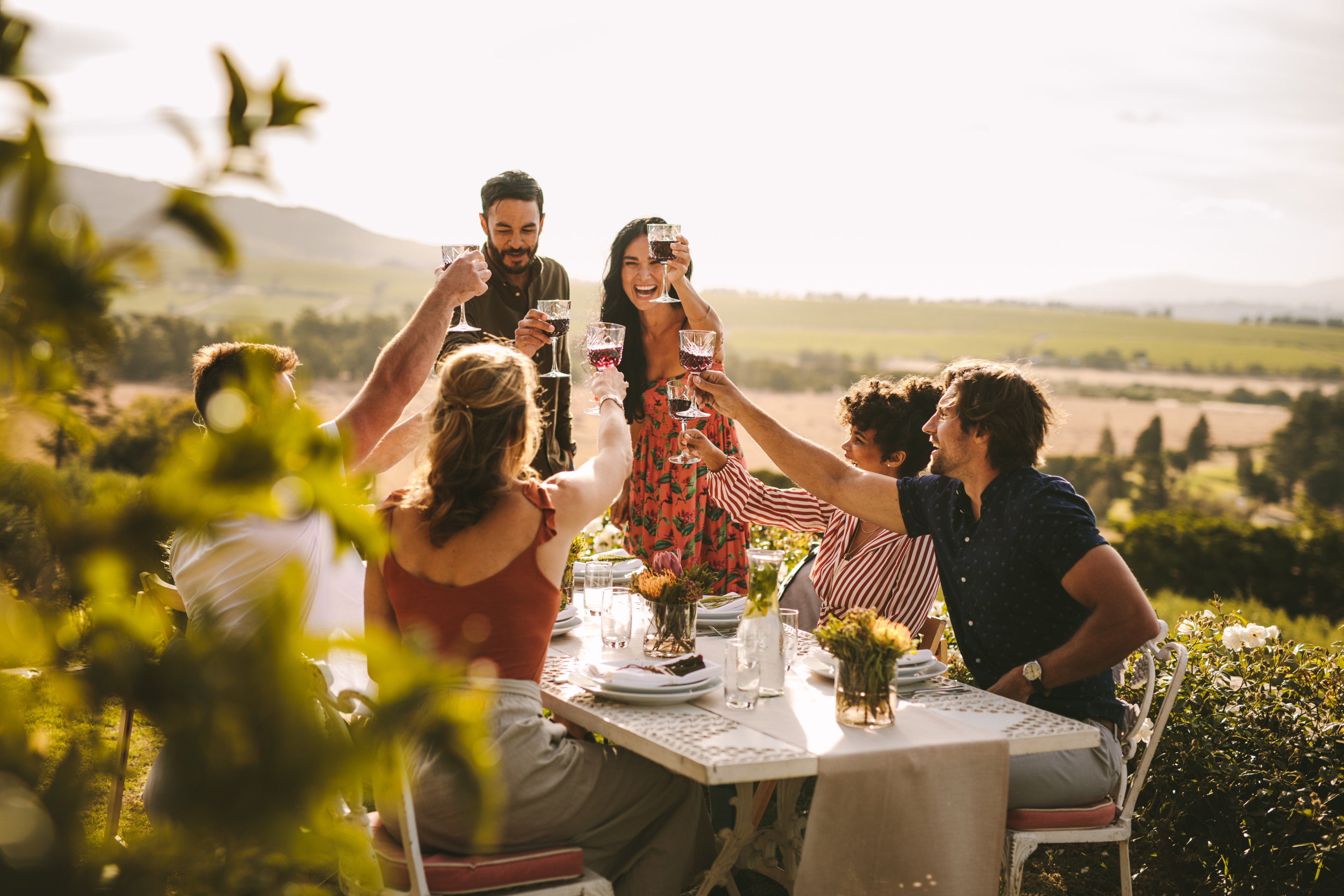 A group of friends toasting with wine at an table in a vineyard.