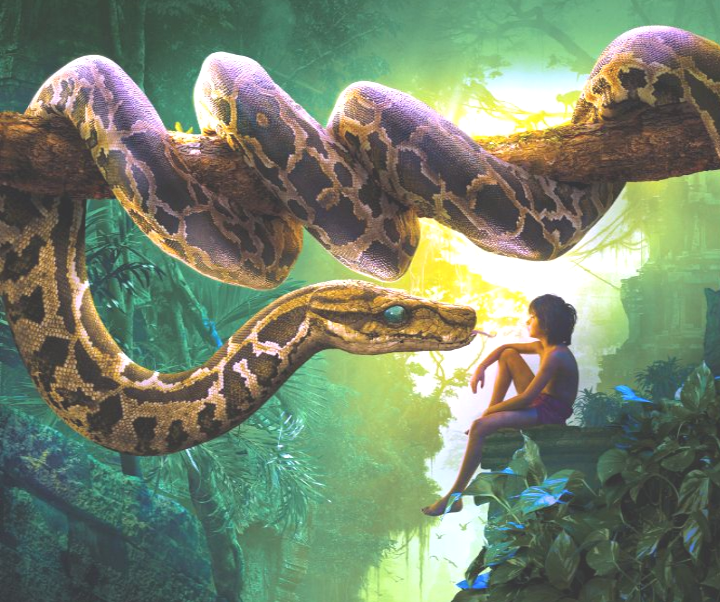 Kaa, la serpiente pitón (Python) junto a Mowgli, en el Libro de la Selva.
