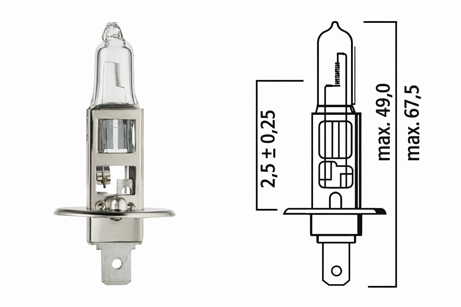 Halogen H1 Bulb