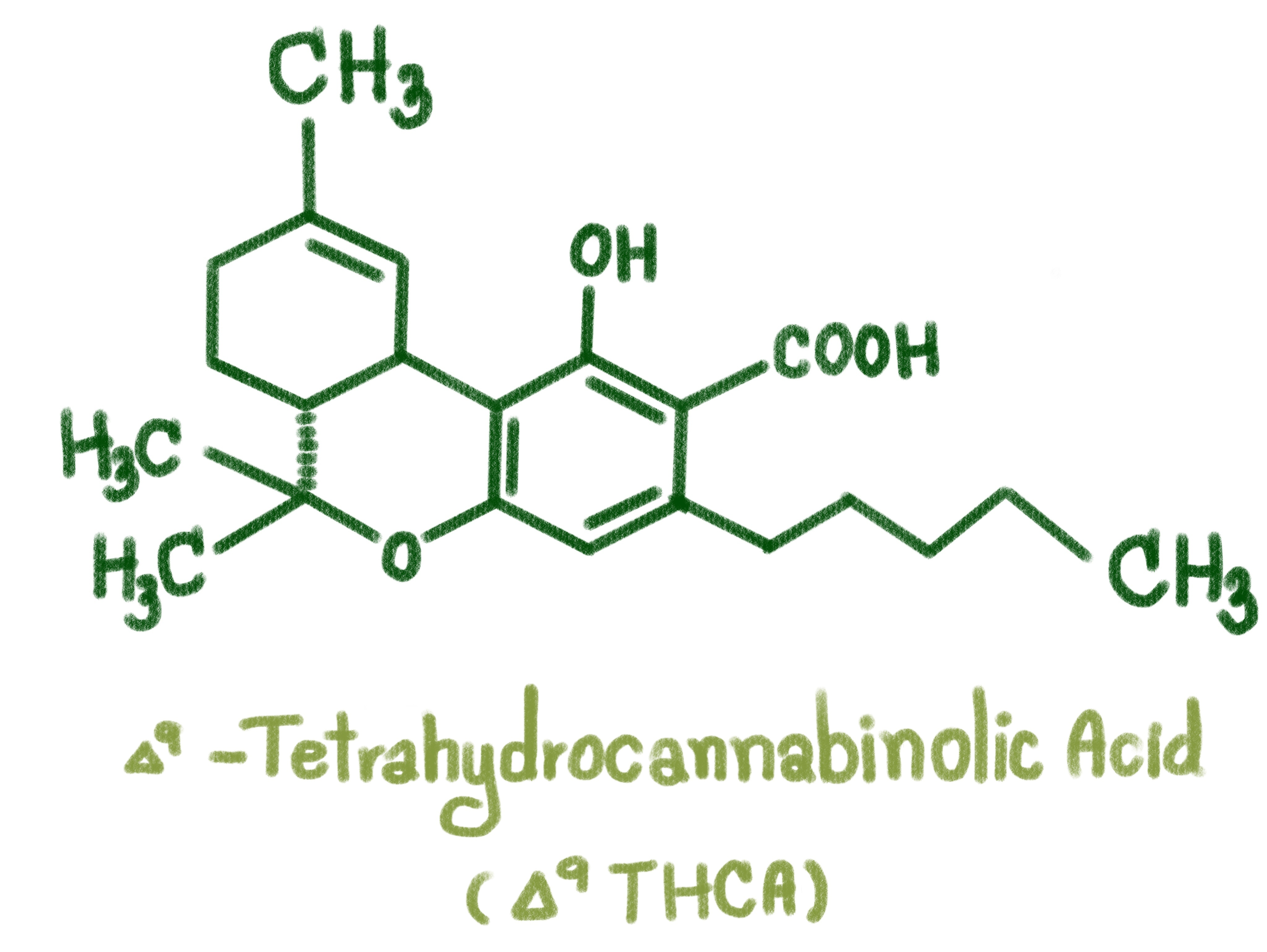 Heat is what can change THCA into the prized Delta 9 THC. But, if you're up for a drug test soon, you will want to stay away from such products.
