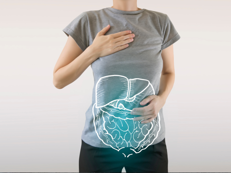 Gut Health and Digestion