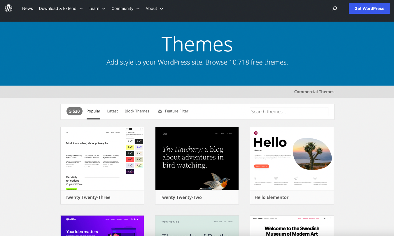 Apart from premium themes you can find plenty of free WordPress theme on WordPress.