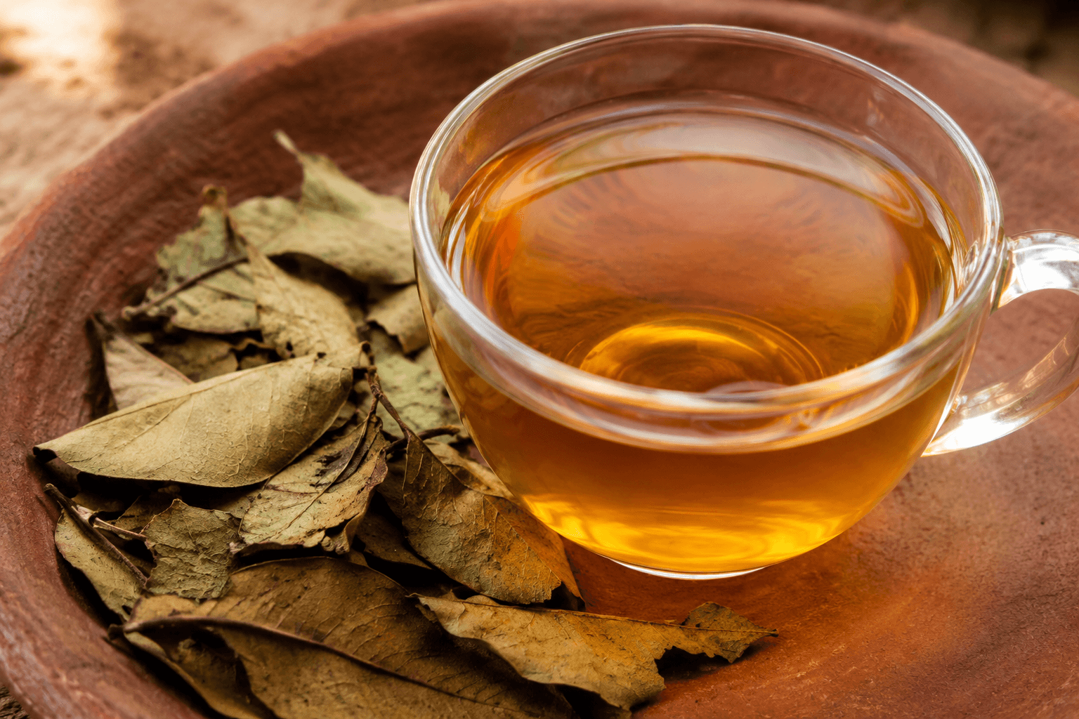 A clear glass cup filled with freshly brewed golden-amber soursop leaf tea resting on an organic clay platter next to a pile of dried soursop leaves.