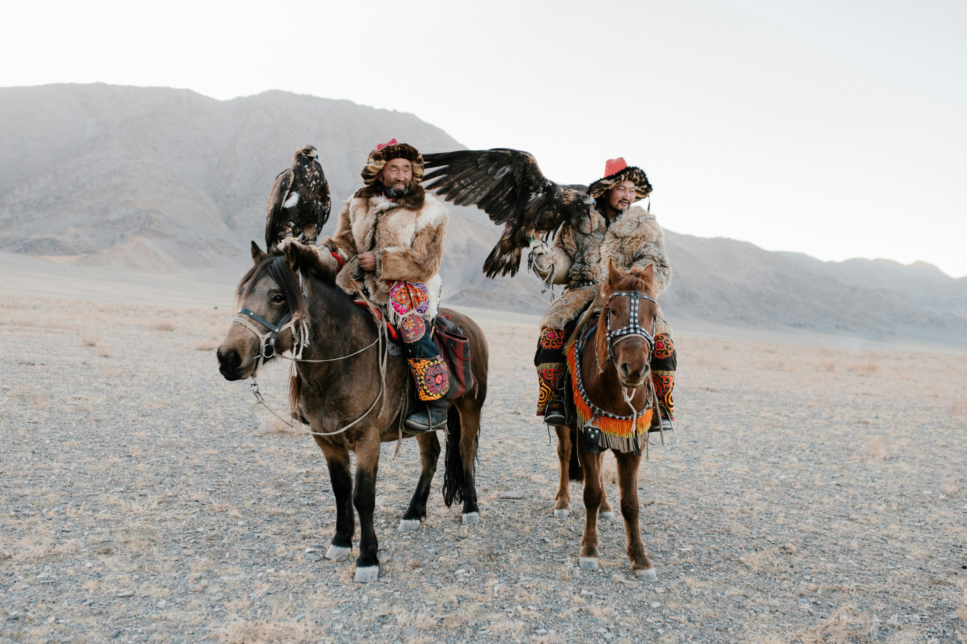 Horses essential in nomadic cultures.