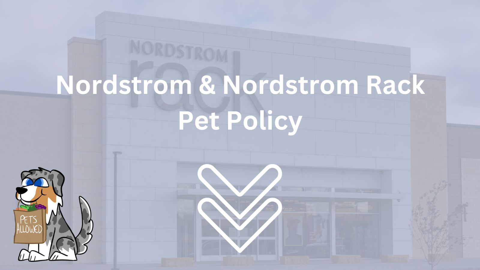 Image Text: "Nordstrom & Nordstrom Rack Pet Policy"