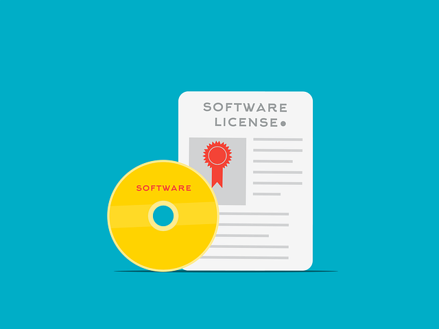 software, license, system