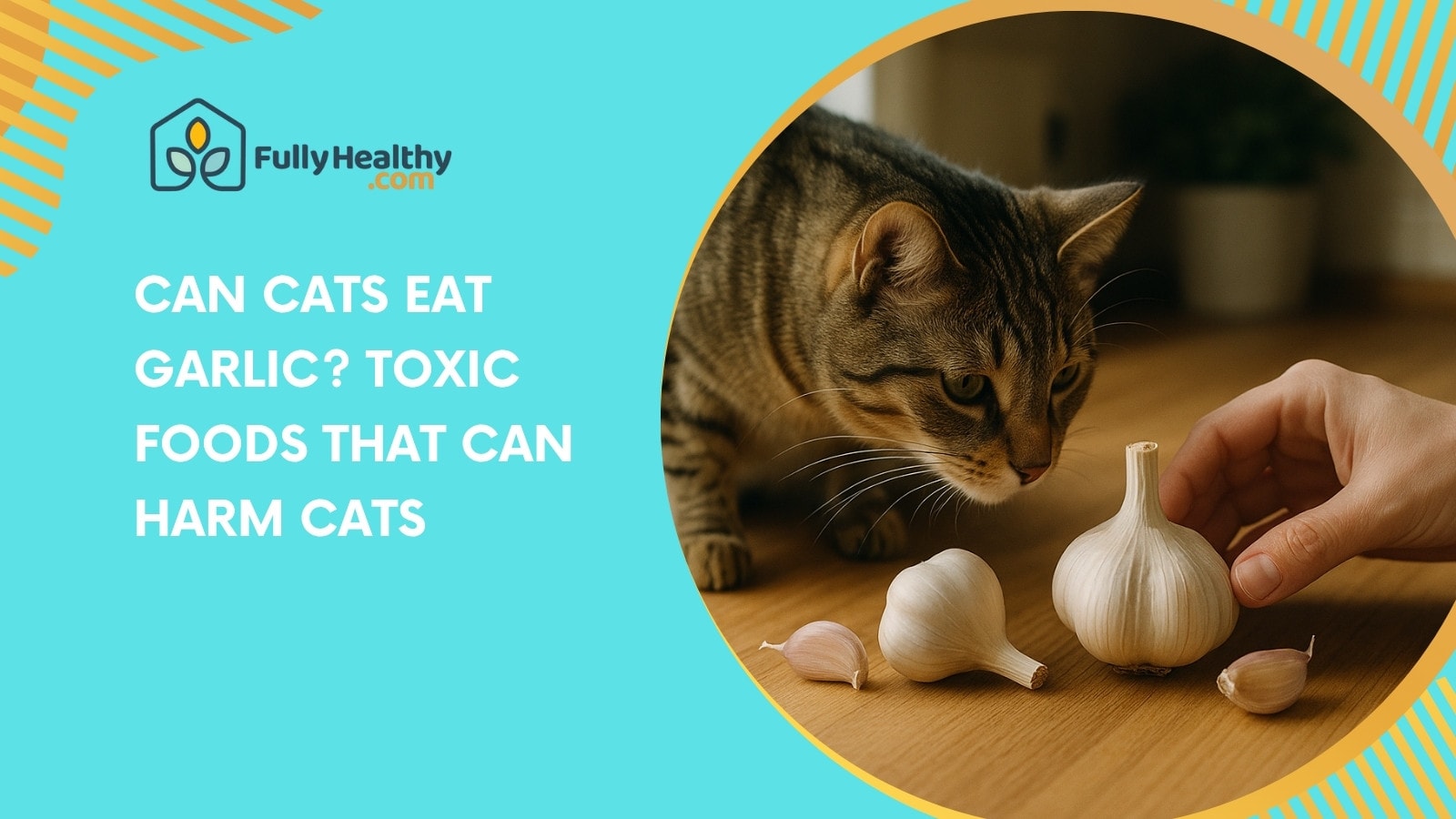 Can Cats Eat Garlic? Toxic Foods That Can Harm Cats
