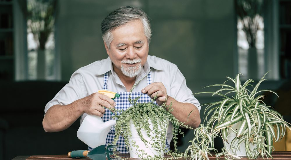 Senior citizen watering plants while aging in place