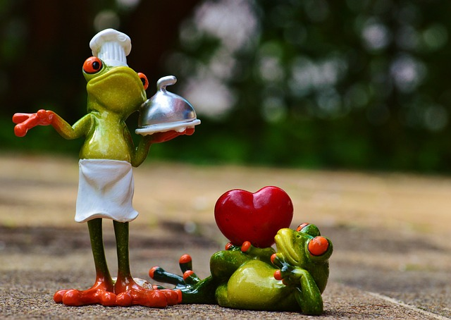 frog, cook, love cooking statistics 2023