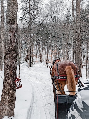 Sleigh rides through the woods of one of the best winter getaways in New England