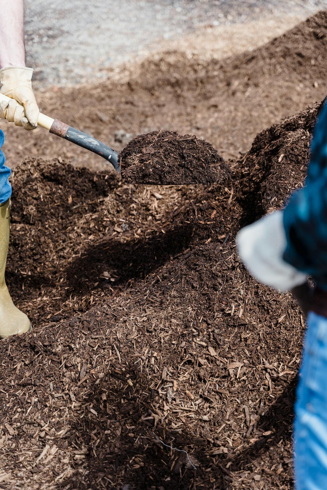 Mulching to retain moisture