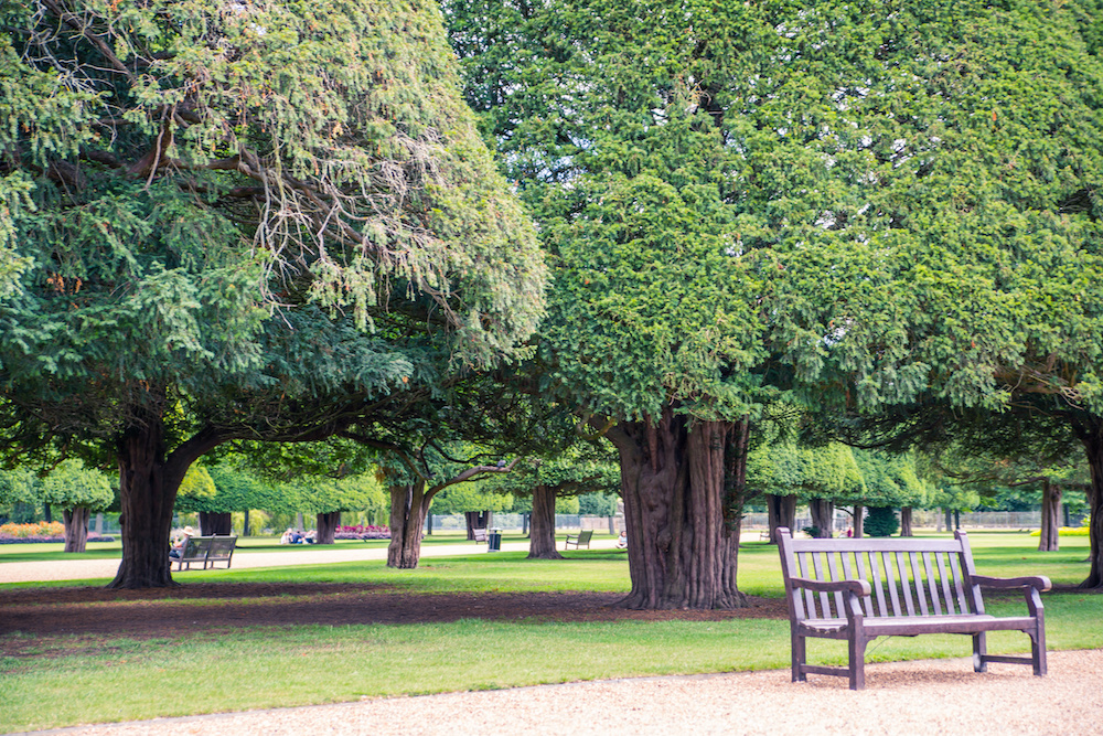 Take your tree trimming business to the next level with additional tree service offerings