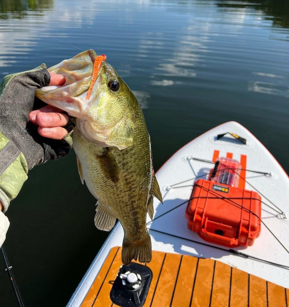 Reel in Adventure: The Insider's Playbook to Paddle Board Fishing