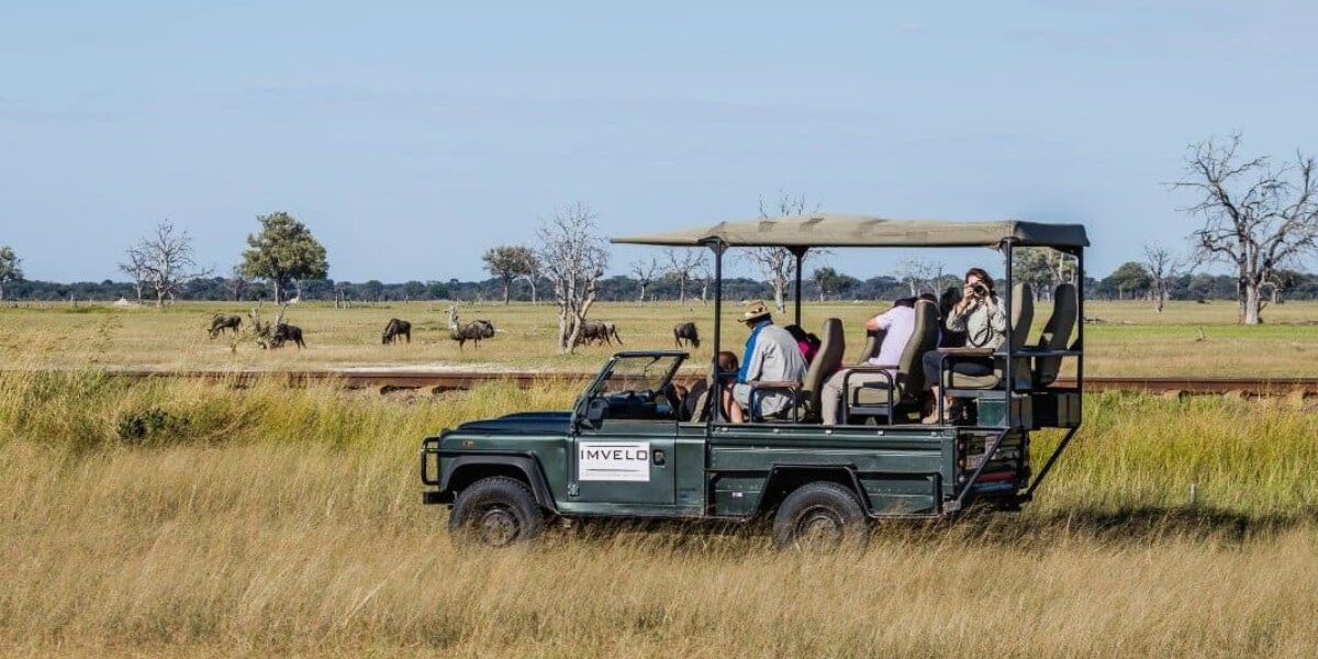 interesting animals in zimbabwe