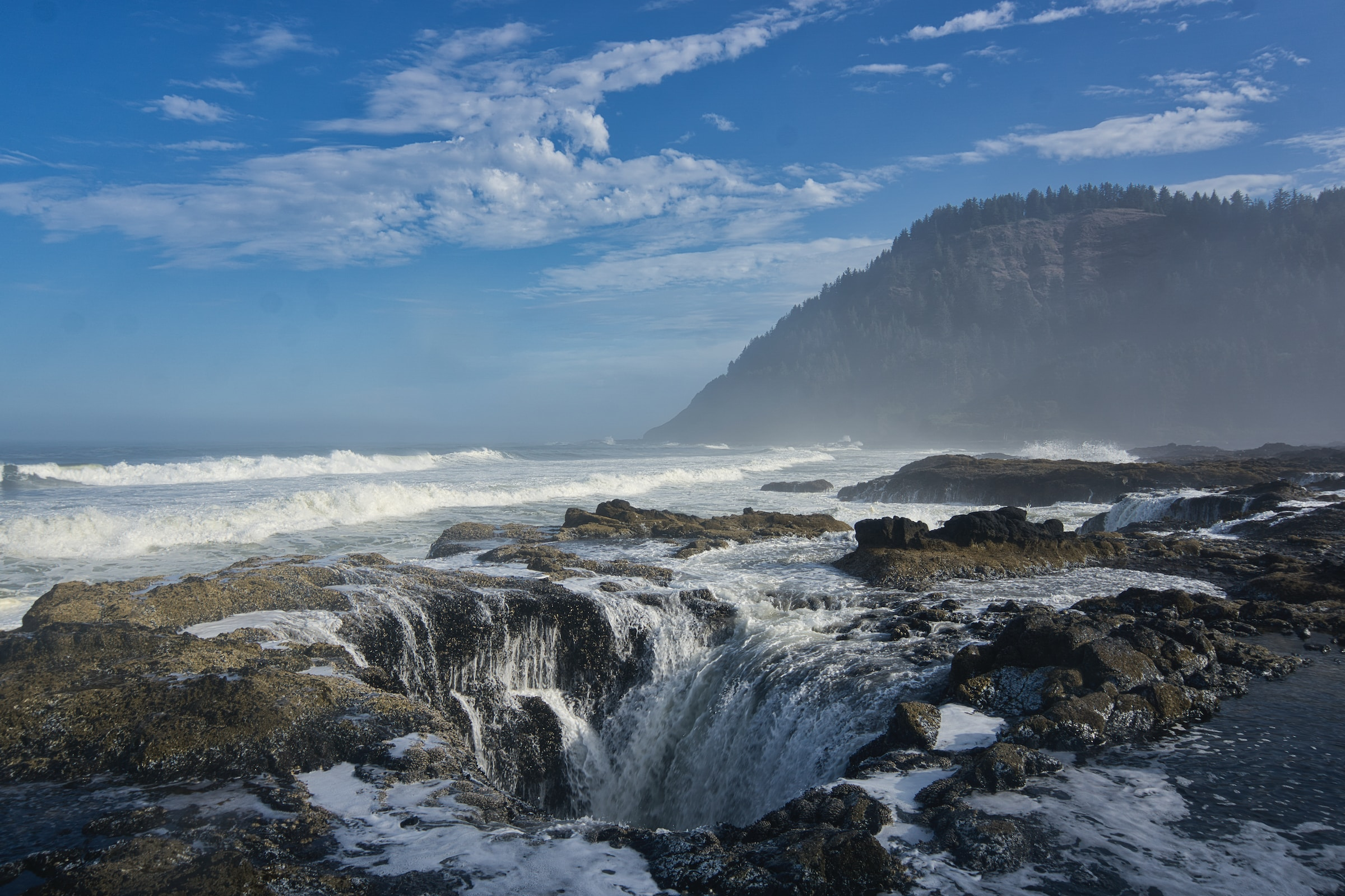 bea4eec0 09e0 42ef b441 11f78006f371 unsplash