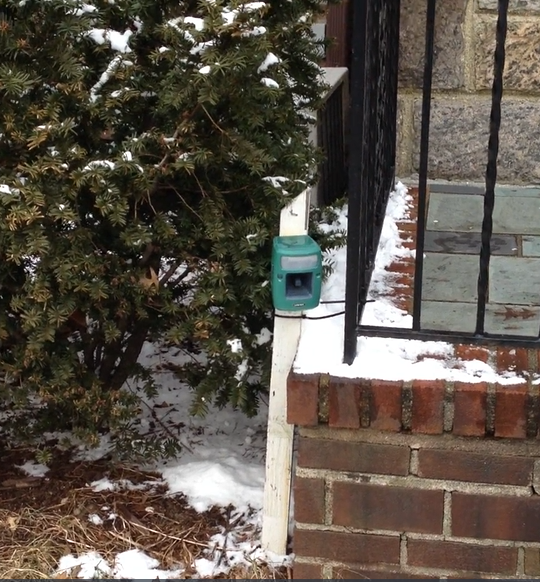 Electronic pest control device sitting near front door