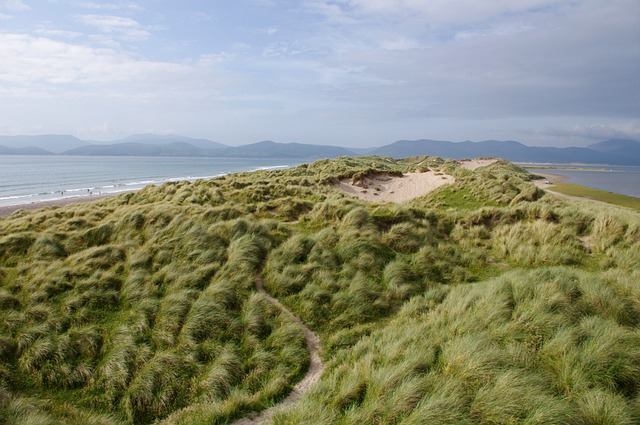 grass, coast, sea, wild atlantic way