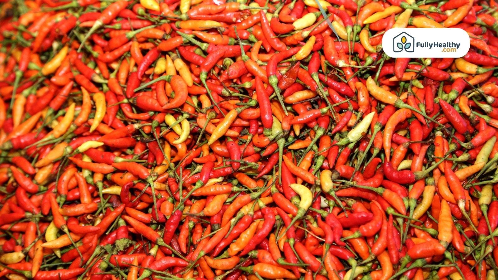 Pile of colorful red orange and yellow chili peppers closely packed