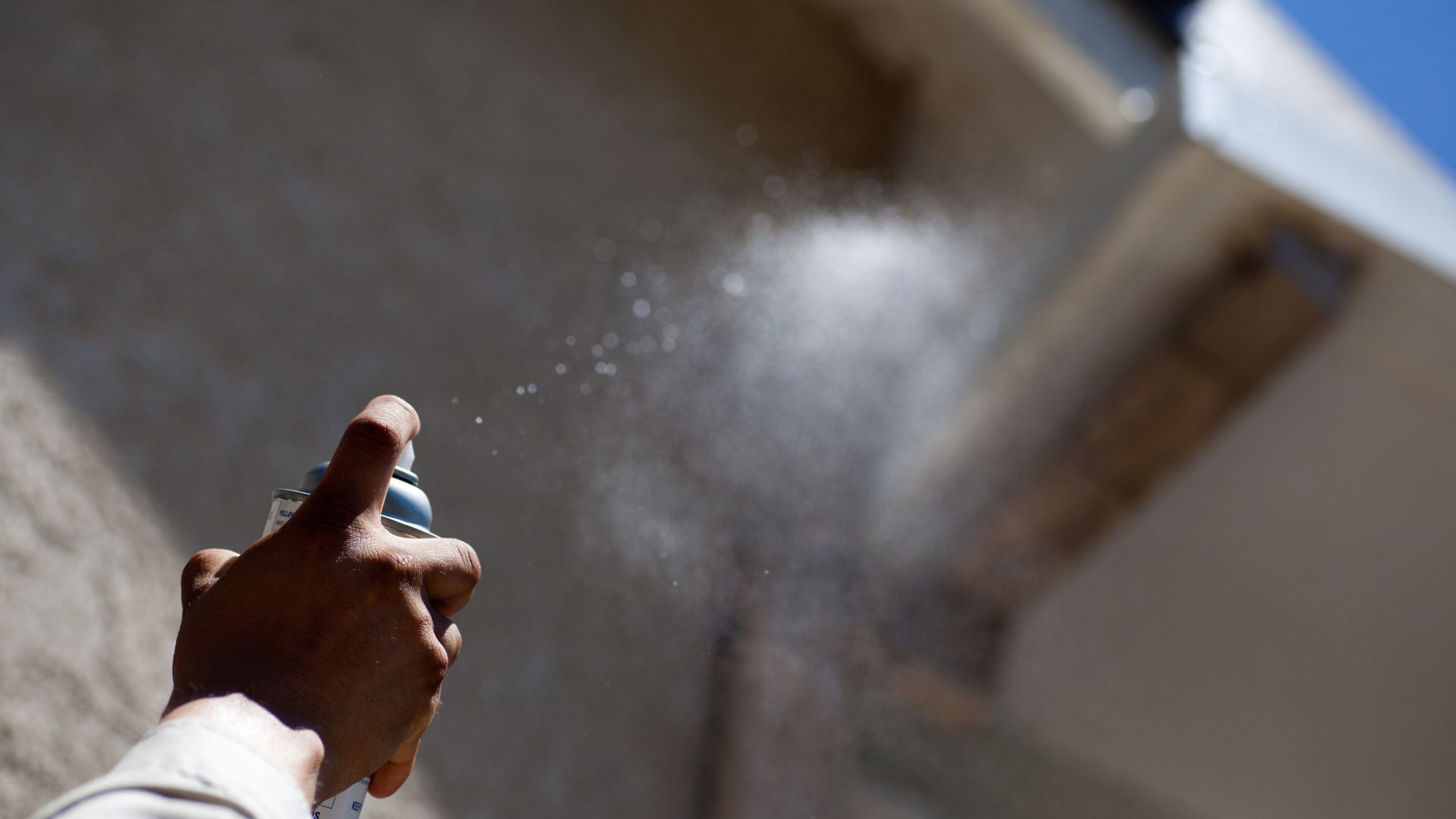 An image of a person spraying a wasp nest with wasp killer.