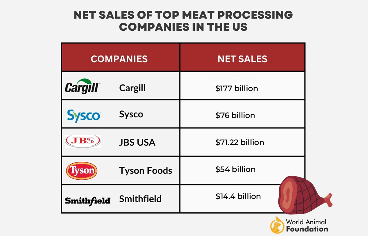 beef production by state 