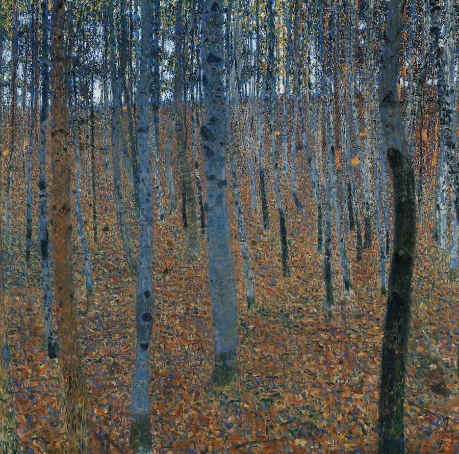 Birch Forest