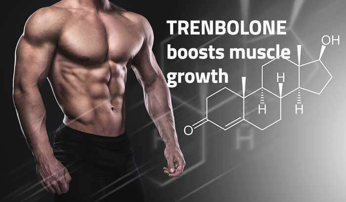 British dragon trenbolone, british dragon products, british dragon quality steroids, british dragon tren, british dragon medications