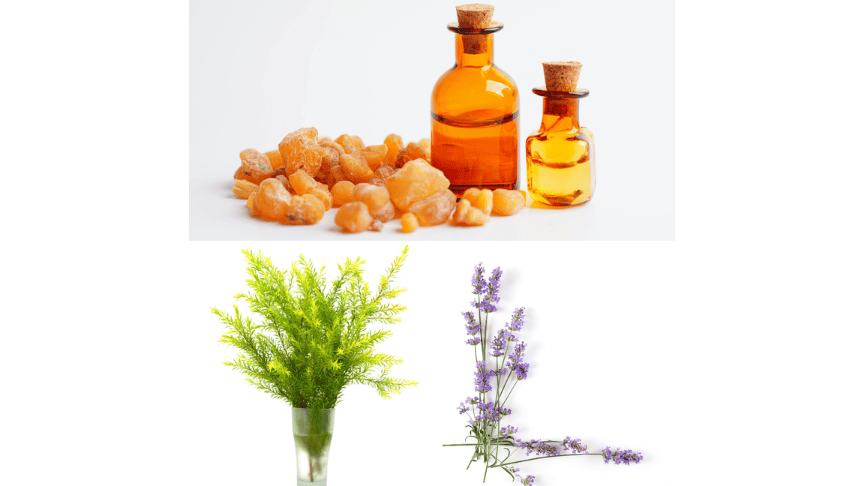fight urinary tract infections and aid feminine hygiene