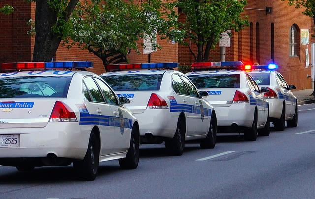 police cars parked in a row