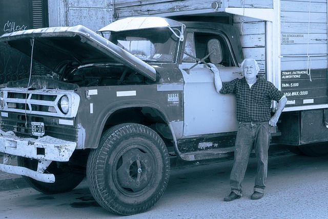 trucker, old man, truck