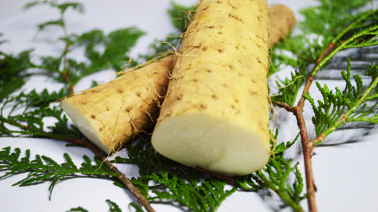 wild yam helps cramping