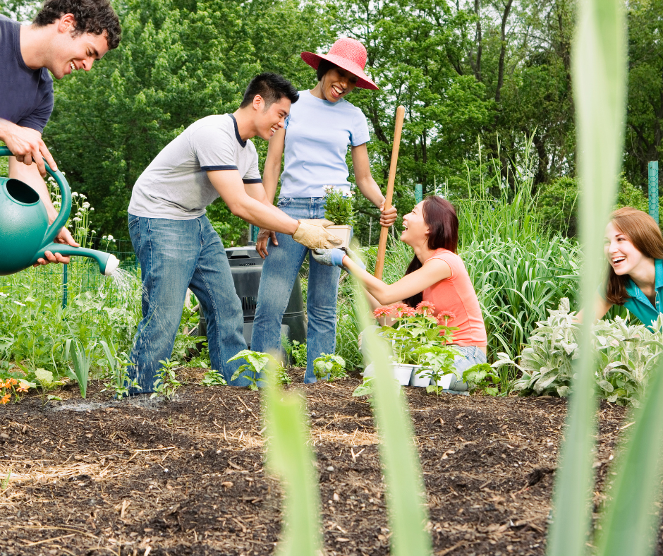 Group of volunteers helping in community garden