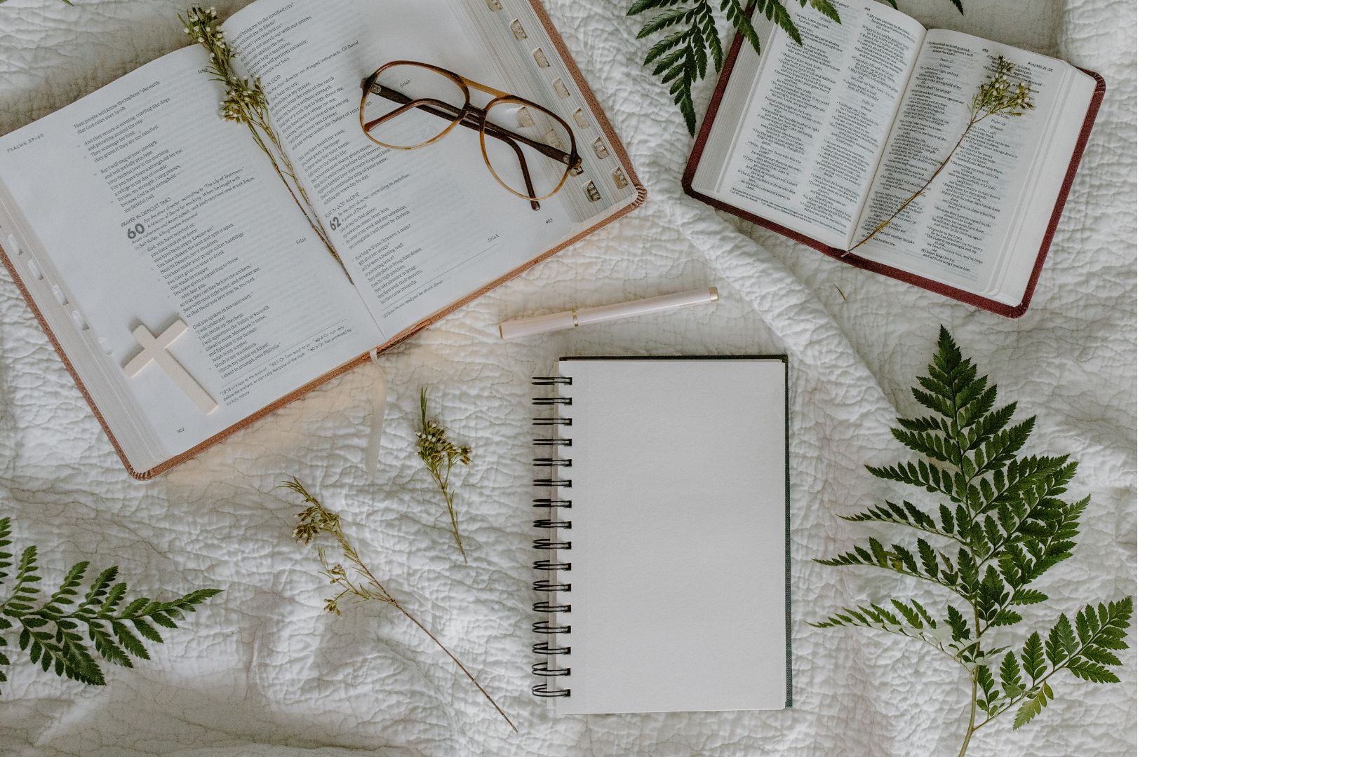 Bible Study Tools