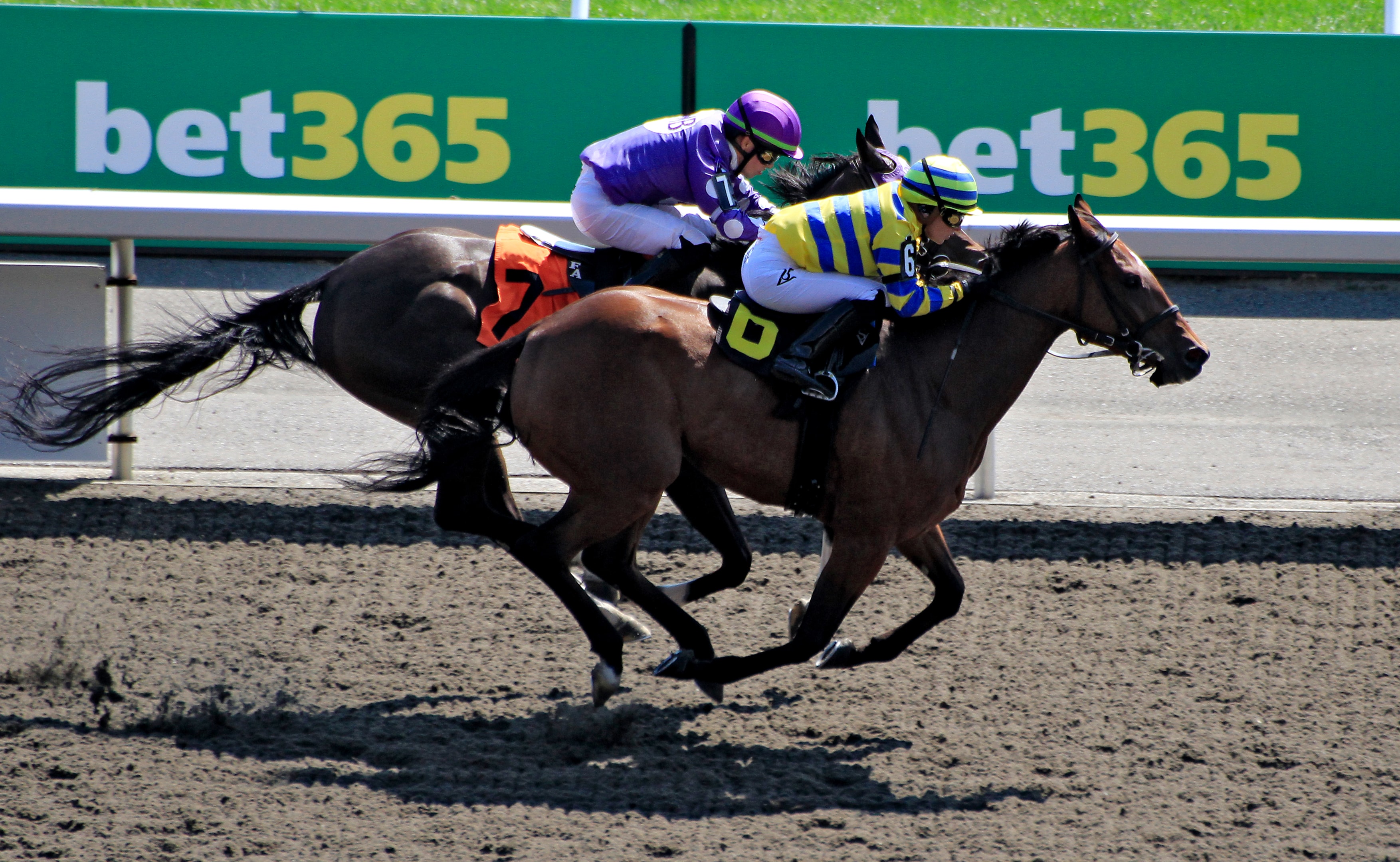 Jockey Sofia Vives rides Home for a Rest to a win in the third race at Woodbine Racetrack in Toronto, Canada, on September 1, 2024. 