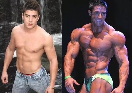 British dragon trenbolone for sale, British dragon products, British dragon stuff, 
