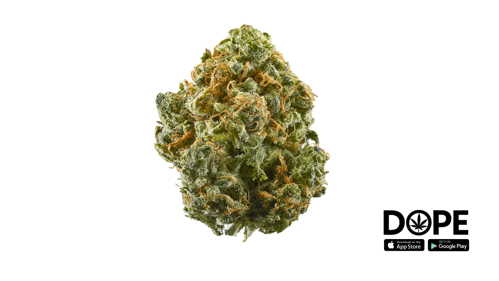 A close-up of Blue Dream cannabis strain showcasing its rich blend of colors.