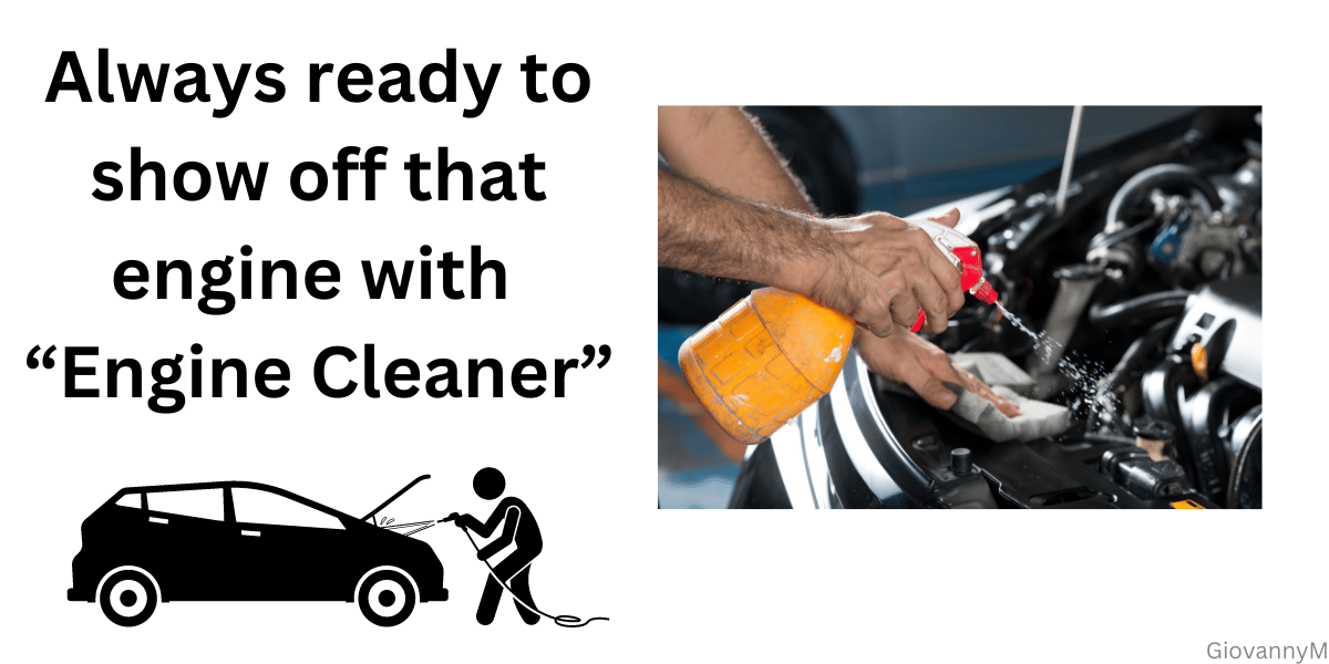 Show off that engine. easy car wash for the engine.