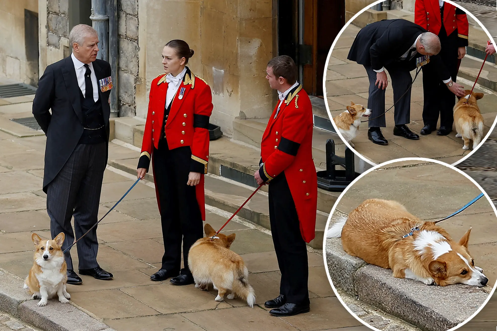 Prince Andrew with Muick and Sandy. Photo credit Reuters.