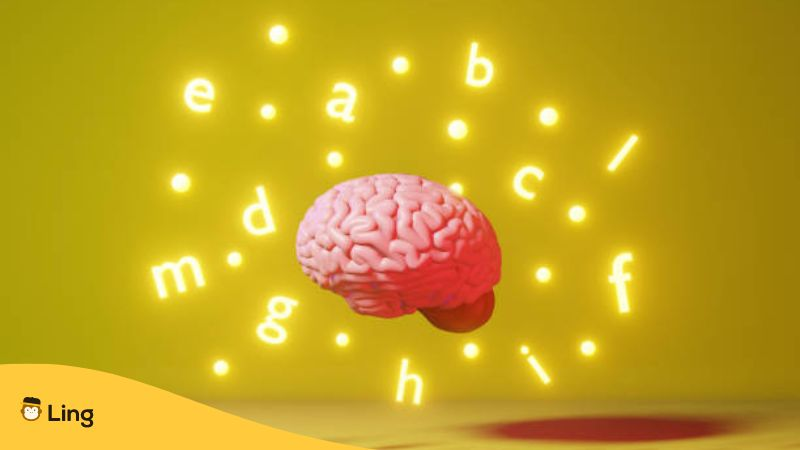Human brain with letters floating on a yellow background