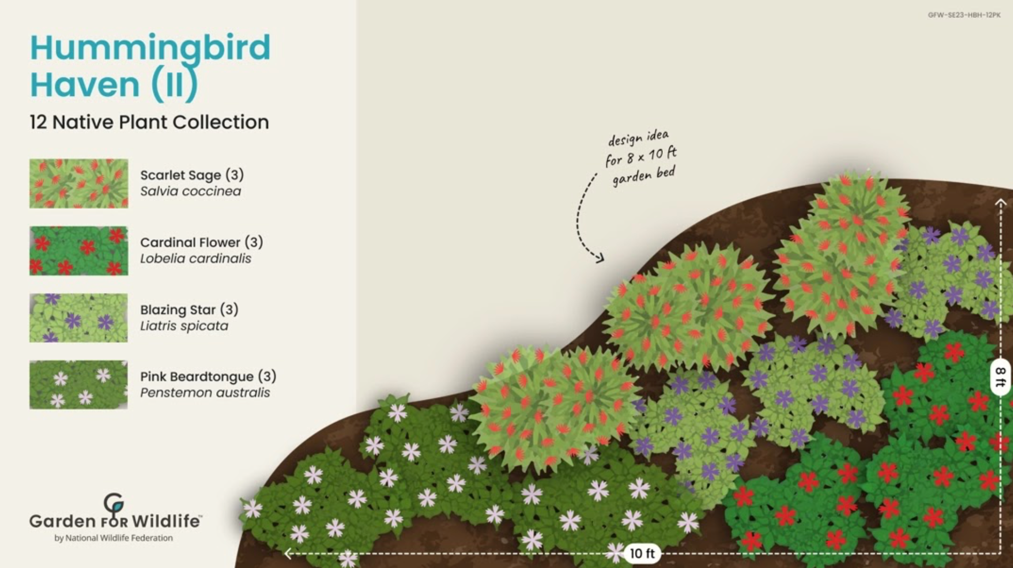 pollinator garden design suggestion layout with native plants for hummingbirds