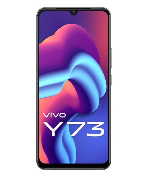 Vivo Y73 Mobile Phone