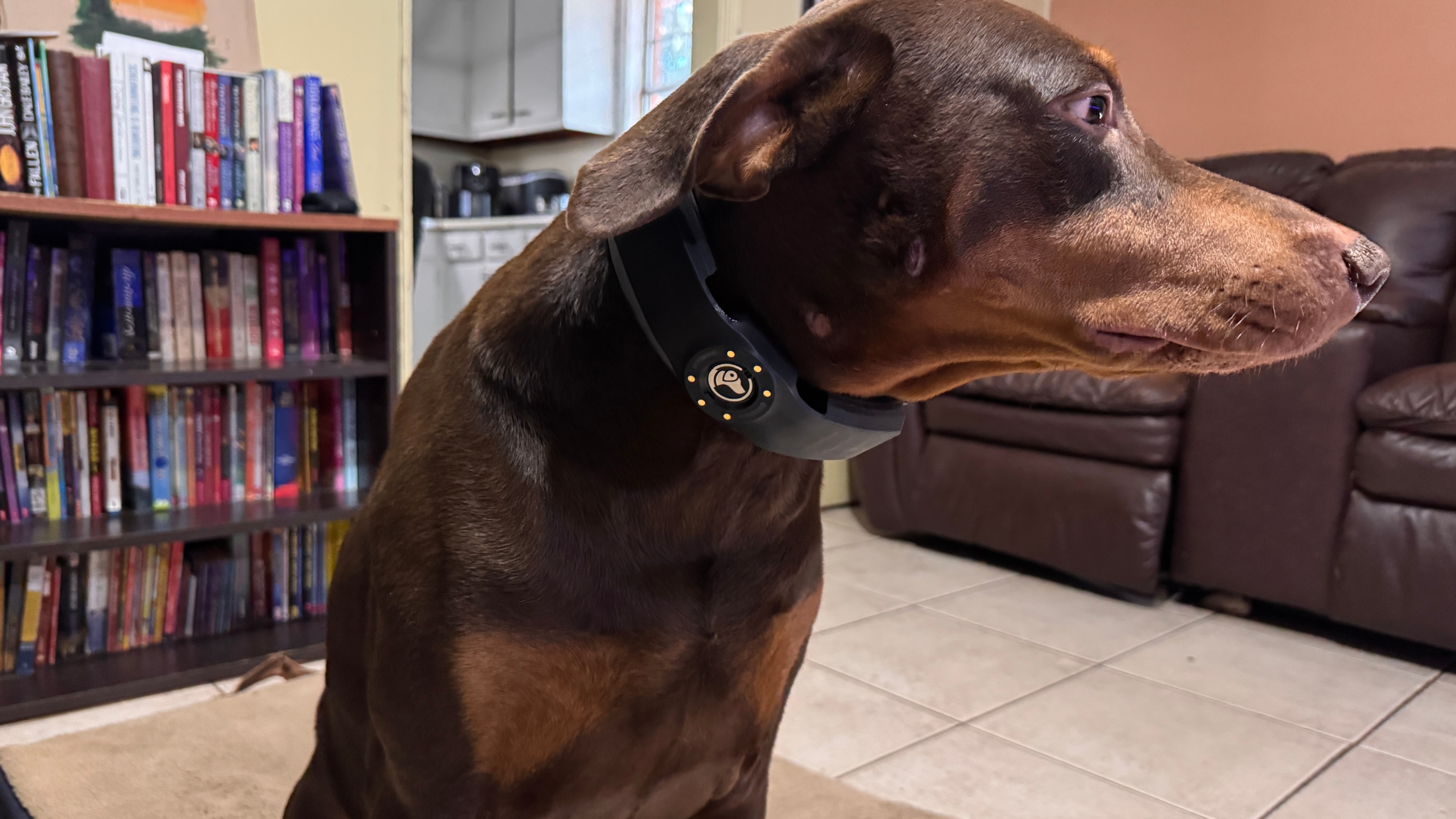 SpotOn Nova Edition review