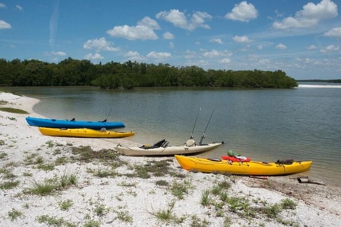 Kayaking Ten Thousand Islands