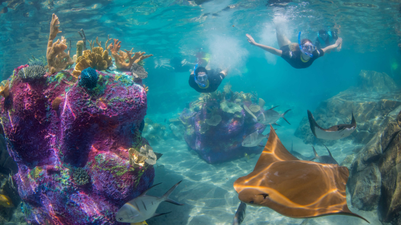 discovery cove