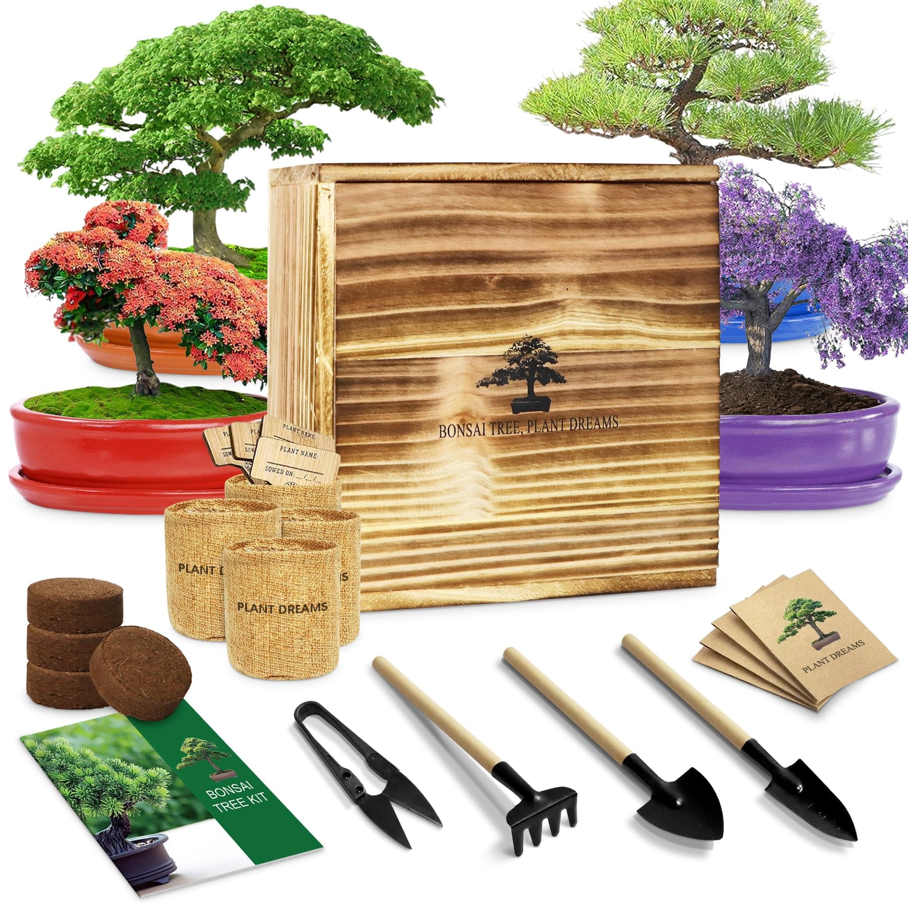 Bonsai Tree Starting Kit, LUOJIBIE Bonsai Starter Kit