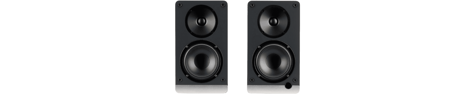 Elac Debut ConneX DCB41 speakers offer versatile connectivity with inputs like: