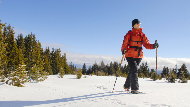 A person in an orange jacket snowshoes through a snowy landscape.