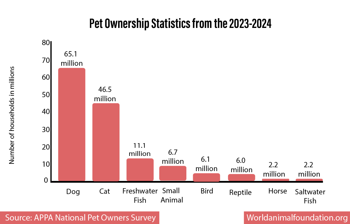 Cost of Dog Ownership Statistics 2024