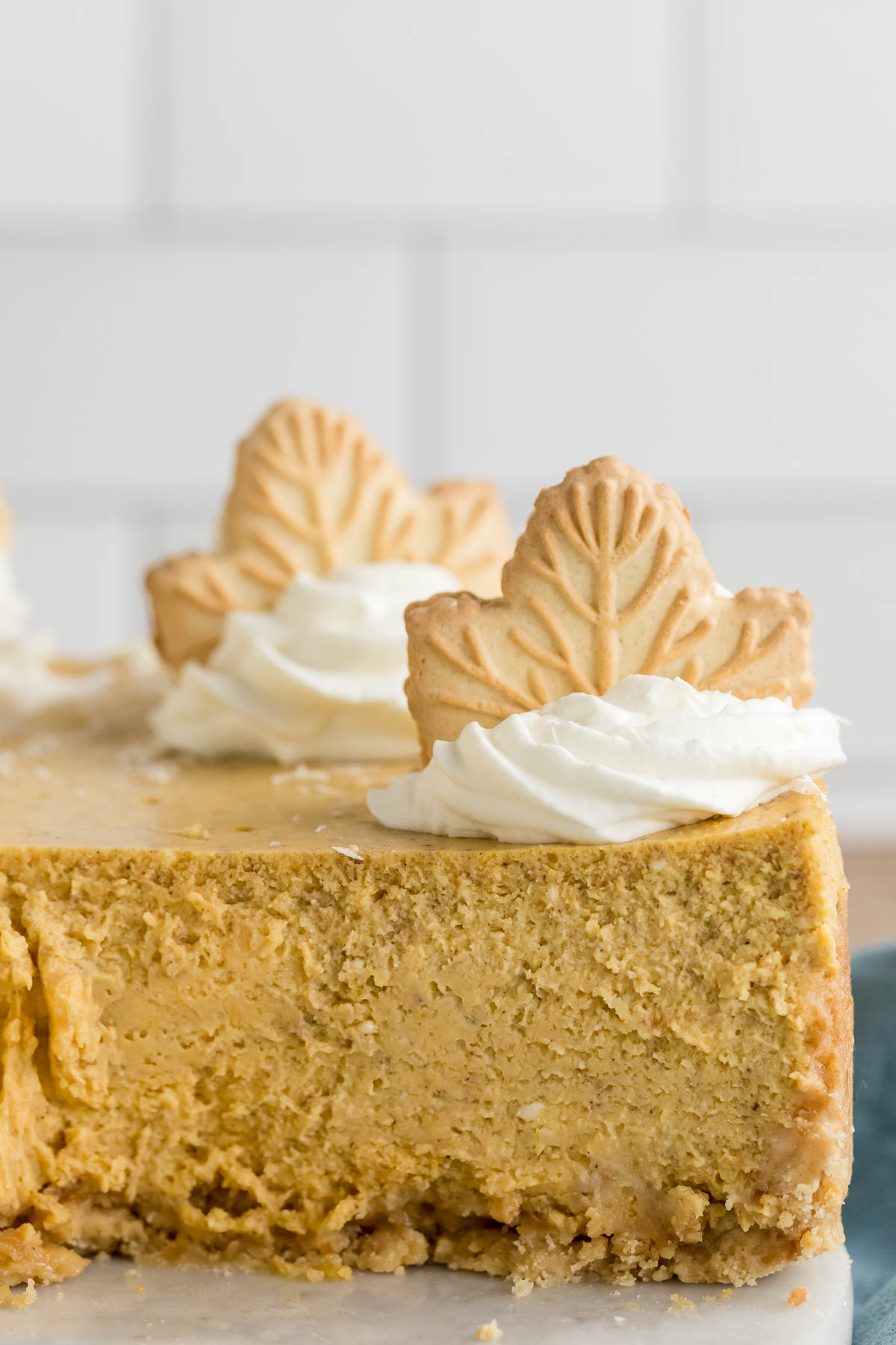 white chocolate pumpkin cheesecake on white marble serving board