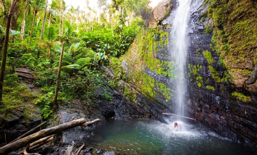 Juan Diego Falls, El Yunque